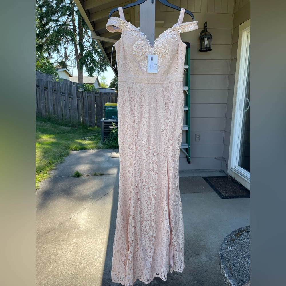 Maniju Formal Dress size Large in Blush pink